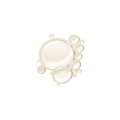 Duo nourrissant multi-perfecteur