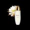 La Lotion Clarins Precious