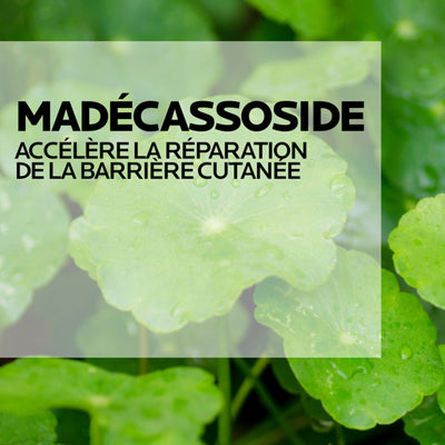 CICAPLAST BAUME B5+ CRÈME ULTRA-RÉPARATRICE APAISANTE - 40 ml
