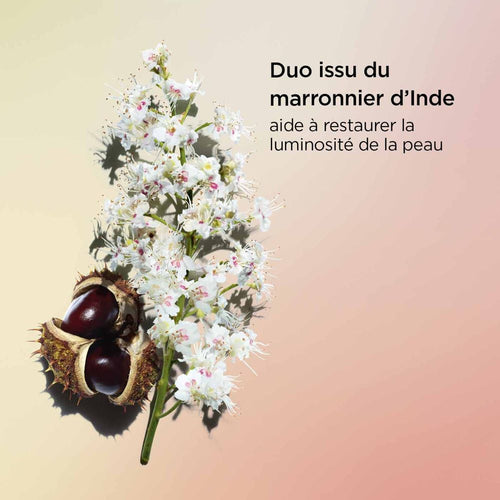 Nutri-Lumière Nuit Crème Reconstituante Intense