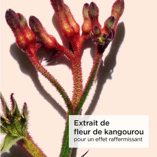 Total Eye Smooth - Contour des Yeux Rides et Fermeté