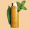 Bain aux Plantes 