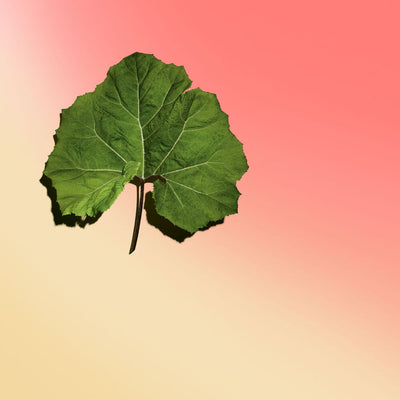 Body Firming - Crème Lift-Fermeté