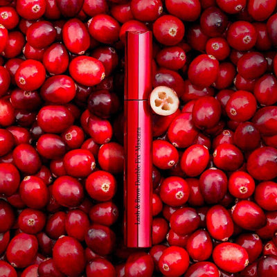 Gel Fixateur pour Sourcils - Lash and Brow Double Fix' Mascara