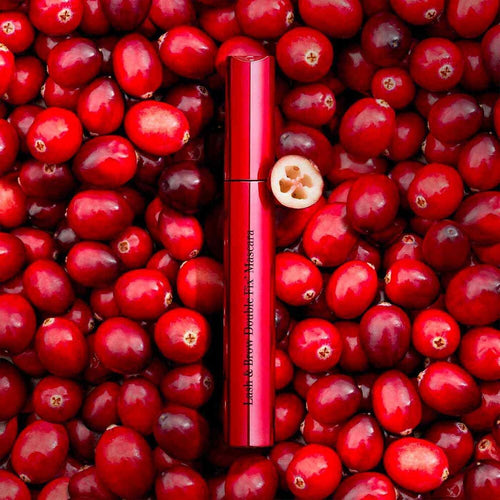 Gel Fixateur pour Sourcils - Lash and Brow Double Fix' Mascara
