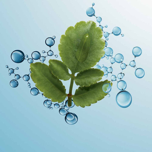 Gel Hydratant et Matifiant Visage - Hydra-Essentiel
