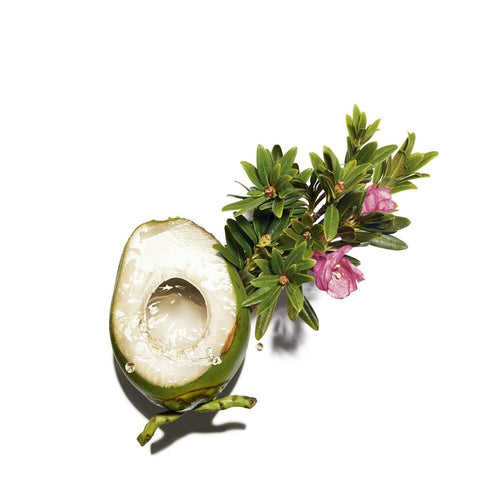 RE-BOOST RICH crème hydra-nourissante