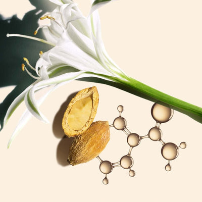 Nutri Lumière Jour Crème SPF15