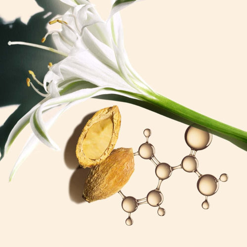 Nutri Lumière Jour Crème SPF15