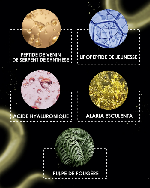 Coffret [ MYSTÉRIEUX Mille et Un Jours ]