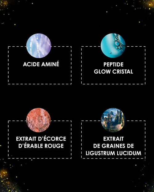 [ L'APPEL de la FORÊT ] CRÈME LUMIÈRE
