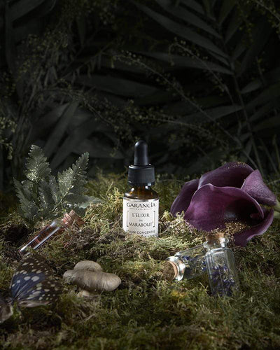 [ L'ELIXIR DU MARABOUT ]