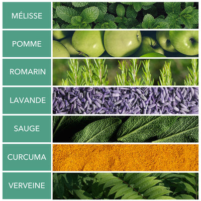 Infusion bio digestion & peau saine