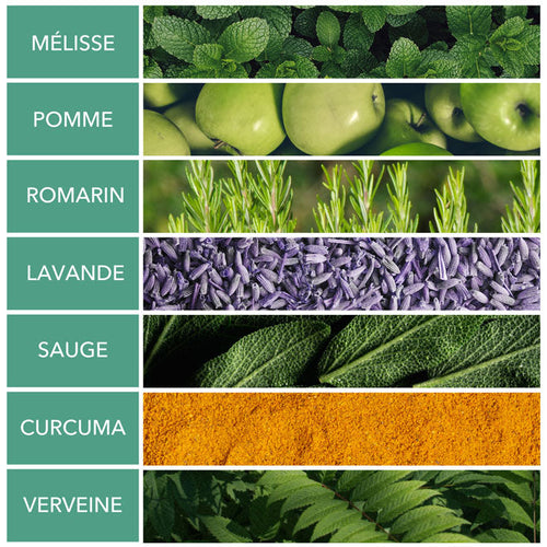 Infusion bio digestion & peau saine