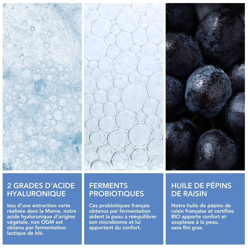 Crème Hydratation aux Probiotiques